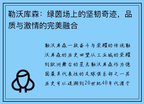 勒沃库森：绿茵场上的坚韧奇迹，品质与激情的完美融合